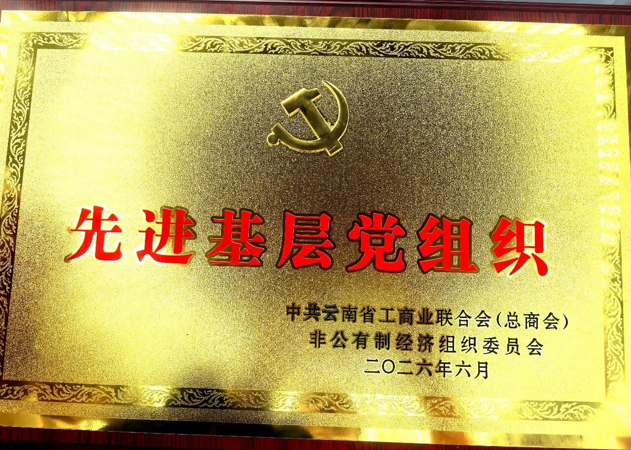 云南天祐正元实业集团载誉前行，党建引领谱新章